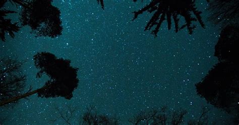 We did not find results for: Pin di Gambar Keren