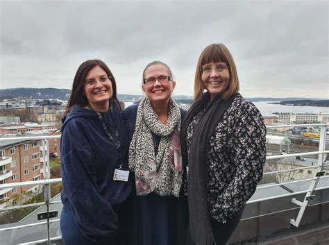 Kommunen har et samlet indbyggertal på lidt under 45.000 indbyggere. arbeidsliv, Indre østfold kommune | Hoppet av Indre ...