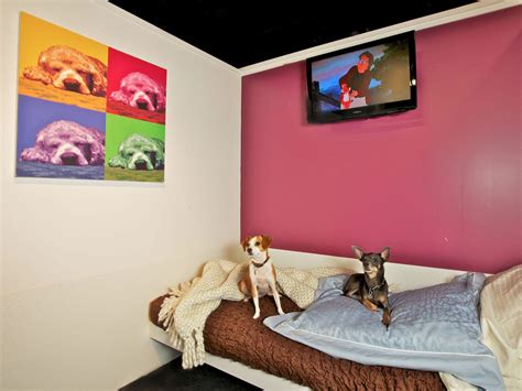 How Much Is A Dog Hotel Per Night