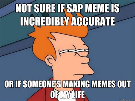 Not Sure If Sap Meme Is Incredibly Accurate Or If Someones Making