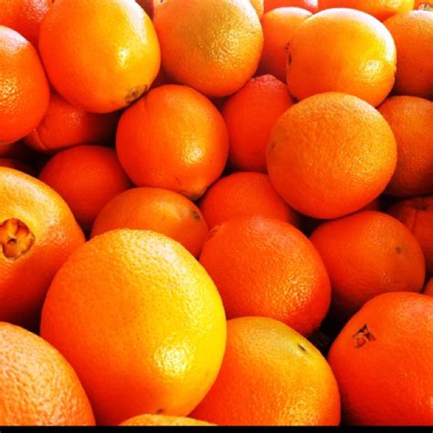 California Navel Oranges From Whole Foods Wholefoods Photo By