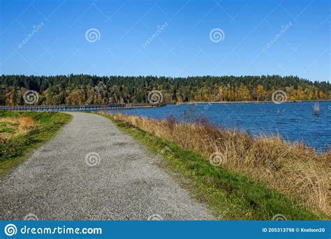 Nisqually Estuary Boardwalk Trail On A Sunny Fall Day Nisqually