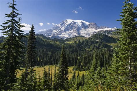 Mount Rainier With Coniferous Forest Photograph By Konrad Wothe Pixels