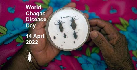 World Chagas Disease Day Observed On 14 April