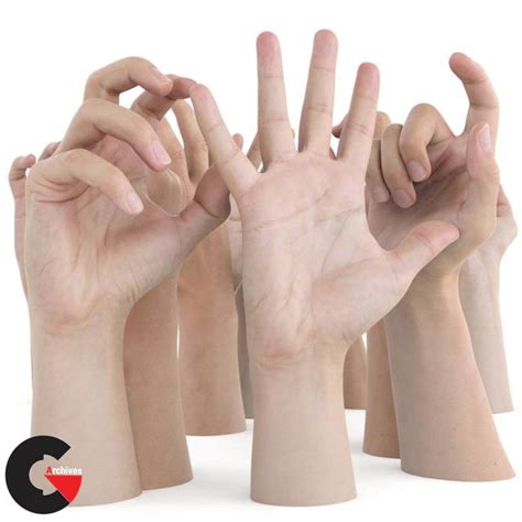 3d Scan Store Ultimate Male Hands Pack Cgarchives