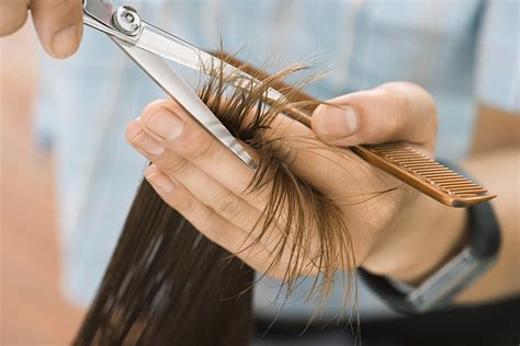 Top 153 Cada Cuanto Es Necesario Cortarse Las Puntas Del Cabello