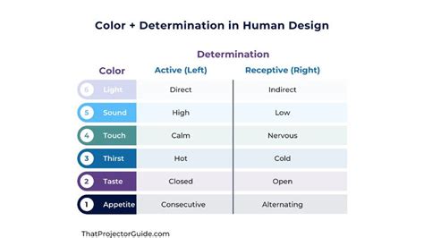 Color and Determination Human Design | Human design, Human design