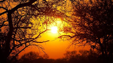 Hd Wallpaper South Africa Nature National Park Sun Trees Sunset