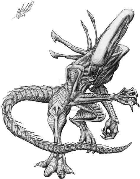 Xenomorph Drawing At Getdrawings Free Download