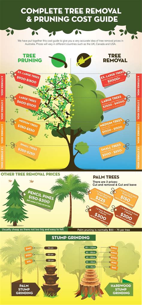Having trees removed for free or getting paid for your palm tree is a reality. Tree Removal Cost Guide 2021 - Tree Lopping Prices | How ...