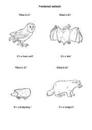 More 100 images of different animals for children's creativity. 18 Best Images of Day And Night Animals Worksheet - Nocturnal Animals Worksheet, Endangered ...