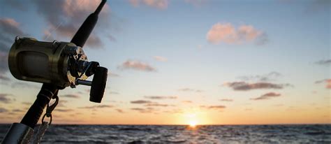 Croix tidemaster inshore spinning rod is a durable, fairly strong, and fast action rod to go with. 10 Best Saltwater Fishing Rods In 2020 [Buying Guide ...