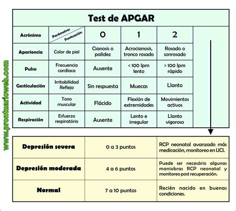 Apgar Worksheet Test