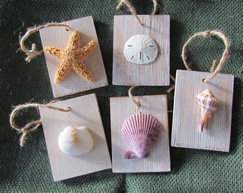 Seashells On Wood Set Of Five Shell Crafts Diy Seashell Crafts