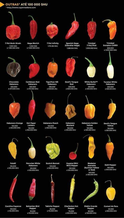 hot peppers identification chart
