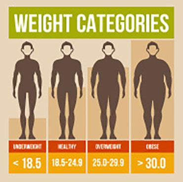 Five Things You Need To Know About BMI Weight Body Composition And