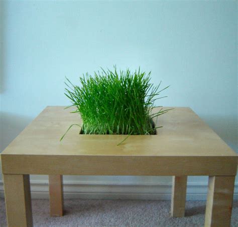 Your glass table can become a statement piece of furniture, whether it's a large coffee table or a family sized dinging table. LACK Side Table Planter - IKEA Hackers