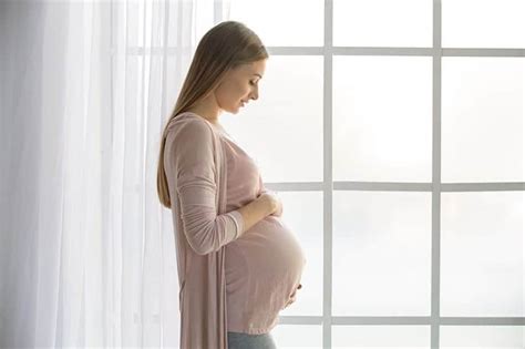 Curiosidades Sobre El Embarazo Que Te Sorprender N Madres Hoy Hot Sex Picture