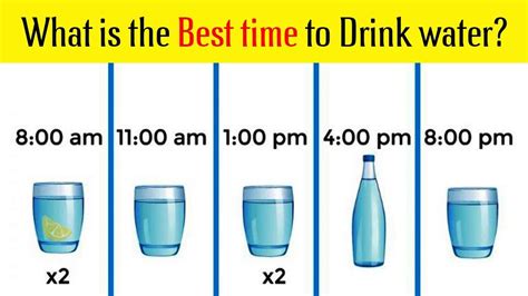What Is The Best Time To Drink Water Top10 Dotcom Youtube