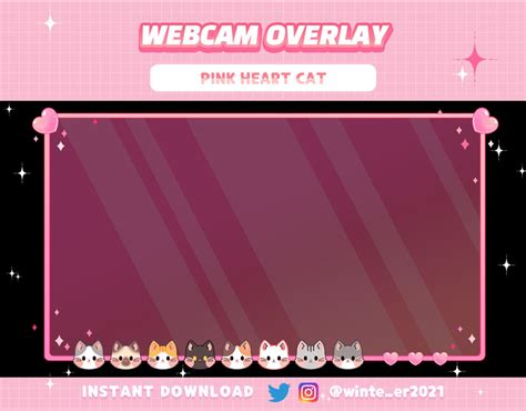 Twitch Pink Cute Cat Webcam Overlay Pink Overlay Download Now Etsy