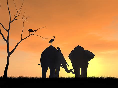 Elephants In Friendship Digital Art By Kim Freitas Fine Art America
