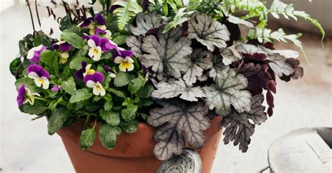 How To Make A Winter Hardy Container For The Garden Outdoor Spaces