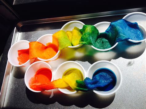 Paper Towel Rainbow Absorption Science For Preschool Watching The