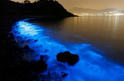 We have glowing beaches here on Earth and they are ...