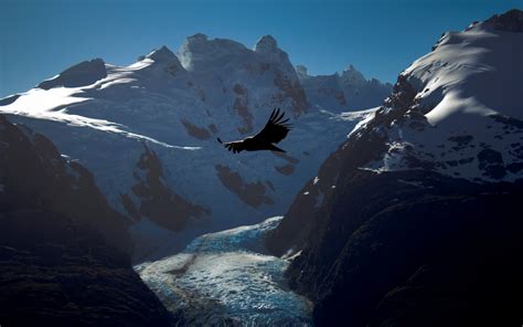 Expedición De Trekking Por El Parque Nacional Kawéskar Patagonian