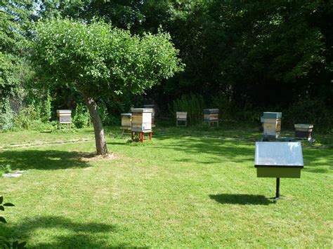 Apiary Location Epsom Beekeepers Association
