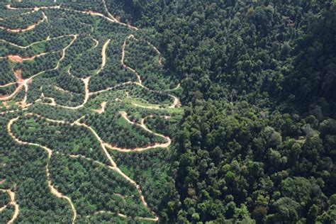 Atmosfer menjadi bagian penting bagi kelayakan kehidupan di bumi. Studi: Deforestasi Berpengaruh Kepada Produktivitas Pertanian di Wilayah yang Jaraknya Ribuan ...