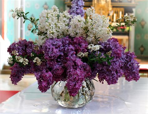 Lilac Bouquet Blossom · Free Photo On Pixabay
