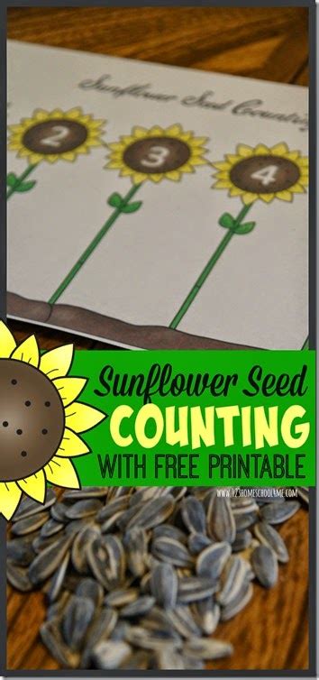 Maybe you would like to learn more about one of these? FREE Sunflower Themed Printables and Crafts - Homeschool Giveaways