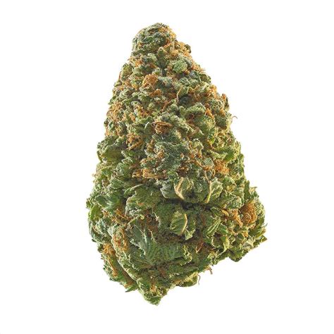 Green Crack Weed Strain Information — 2one2 Dispensary
