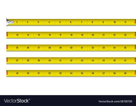 Tape Measure In Inches Royalty Free Vector Image