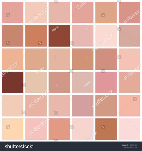 Skin Tone Color Chart Human Skin Stock Vector Royalty Free