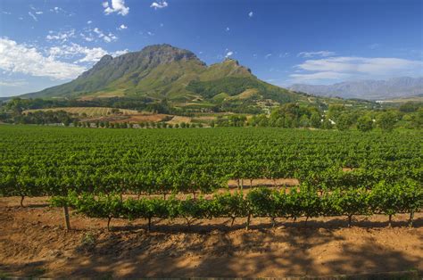 Winelands Travel South Africa Lonely Planet