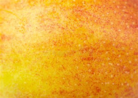 716 Red Apple Skin Texture Stock Photos Free And Royalty Free Stock