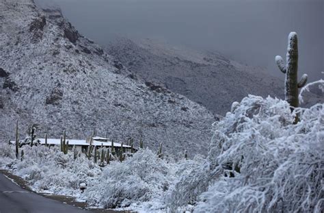 A Bunch Of Photos Of Todays Snow Across Tucson ️💕 Tucson Life