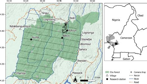 Left Map Of The Ebo Forest In Cameroon Showing The 23 Recce Lines A