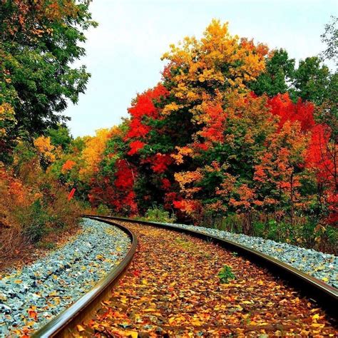 10 Best Beautiful Fall Scenery Images Full Hd 1080p For Pc Desktop 2020