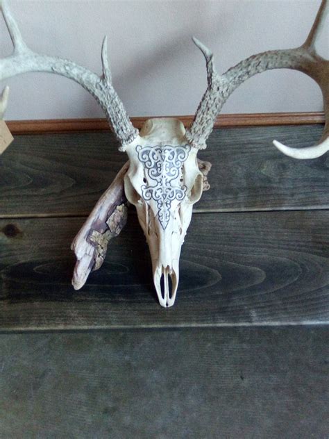 Carved Whitetail Deer Skull Etsy