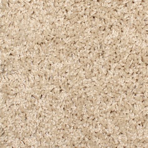 Stainmaster Essentials Bronson 12 Ft Textured Interior Carpet At