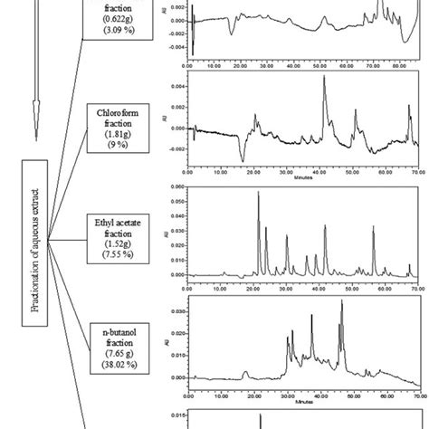 Reverse Phase High Performance Liquid Chromatography Chromatograms Of