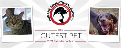 History, top tweets in uk, 2021 date, facts, and things to do. Humane Educational Society | HES Cutest Pet 2021 Calendar ...