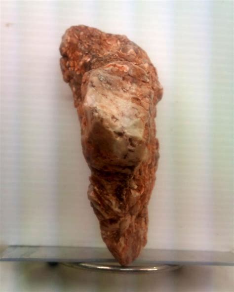 Olduwan Homo Habilis Lower Paleolithic 20myahand Tool 303gr 10