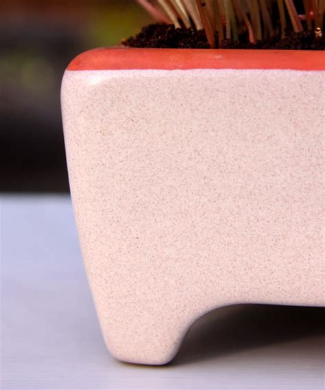 Ceramic Zero Waste Microgreens Kit Small Urban Leaf
