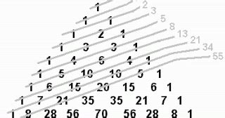Kampoeng Ilmoe Algoritma Dan Flowchart Untuk Deret Bilangan Fibonacci