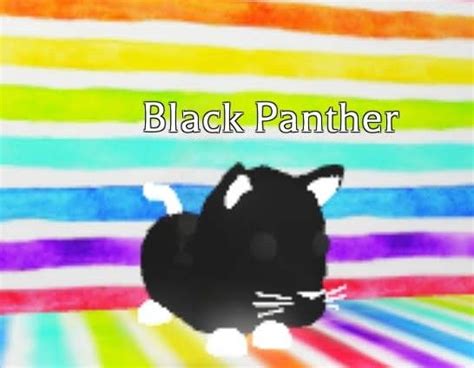 Neon Black Panther Owl Pet Pets Drawing Pet Dragon