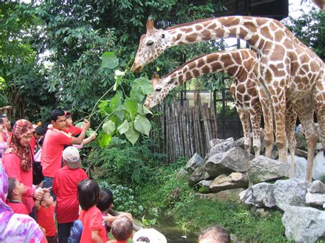 Setiap anak adalah modal insan negara 4. PUSAT ANAK PERMATA NEGARA FELDA RAJA ALIAS: Lawatan Ke Zoo ...